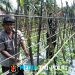 Babinsa Dampingi Petani Rawat Melon, Wujudkan Ketahanan Pangan