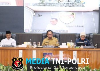 Susun Kebijakan yang Tepat Sasaran, Mendagri Ajak Pemda Maksimalkan DTSEN Versi 3