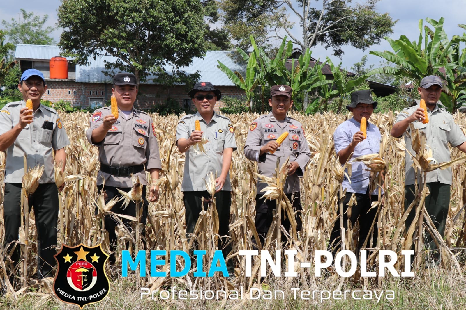 Panen Raya Jagung, Polres Lampung Barat Perkuat Sinergi Dukung Ketahanan Pangan Nasional