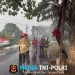 Pohon Sawit Terbakar di Jembatan Sindang Sari Kotabumi, Polisi dan Damkar Bergerak Cepat Padamkan Api