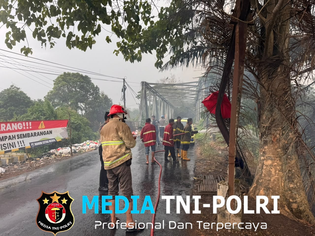 Pohon Sawit Terbakar di Jembatan Sindang Sari Kotabumi, Polisi dan Damkar Bergerak Cepat Padamkan Api