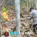 Kebakaran Hutan di Lereng Gunung Ngasem Hanguskan 3 Hektare Lahan, Polisi Bersama TNI dan Relawan Bergerak Cepat Padamkan Api