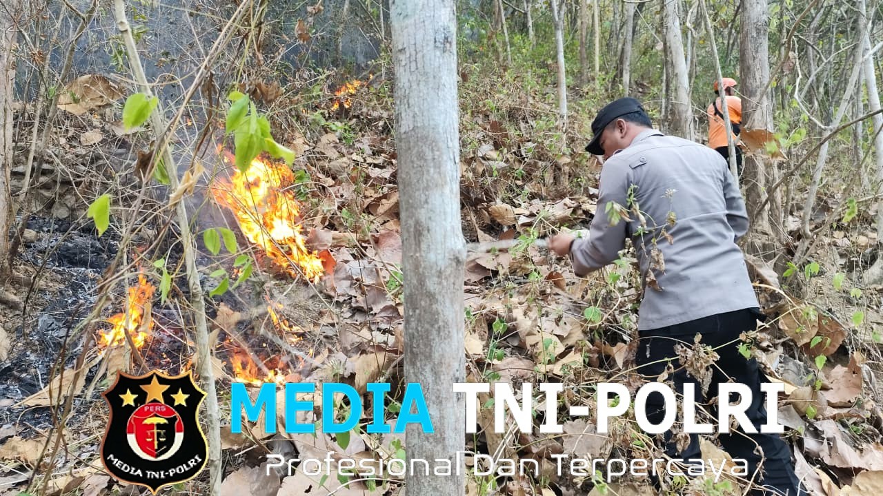 Kebakaran Hutan di Lereng Gunung Ngasem Hanguskan 3 Hektare Lahan, Polisi Bersama TNI dan Relawan Bergerak Cepat Padamkan Api