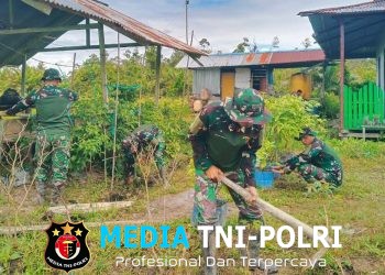 Satgas Yonif 123/Rajawali Kembangkan Hanpangan di Pos Korowai, Hasil Panen untuk Masyarakat
