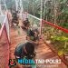 Bakti TNI untuk Rakyat Berbuah Nyata, Jembatan Gantung Sungai Sowu Segera Rampung