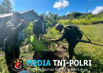 Menjalin Sinergi, Membangun Mamberamo Tengah Lebih Sehat dan Hijau