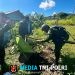 Menjalin Sinergi, Membangun Mamberamo Tengah Lebih Sehat dan Hijau