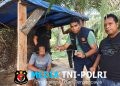 GerCep! Sat Narkoba Polres Langkat Grebek Sarang Narkoba, Hingga Bakar Gubuk dan Ciduk Satu Tersangka