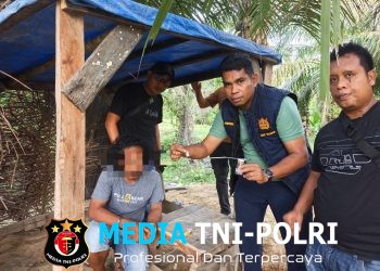GerCep! Sat Narkoba Polres Langkat Grebek Sarang Narkoba, Hingga Bakar Gubuk dan Ciduk Satu Tersangka