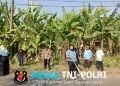 Bhabinkamtibmas Bersama Perangkat Desa dan Mahasiswi UBPK Gelar Kerja Bakti di Jayalaksana