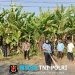 Bhabinkamtibmas Bersama Perangkat Desa dan Mahasiswi UBPK Gelar Kerja Bakti di Jayalaksana