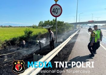 Kebakaran Lahan di Sepanjangan Jalan Tol Pejagan KM 248 Brebes Jadi Peringatan, Polda Jateng Imbau Masyarakat Hentikan Pembakaran Lahan Saat Musim Kemarau