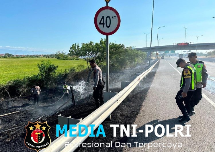 Kebakaran Lahan di Sepanjangan Jalan Tol Pejagan KM 248 Brebes Jadi Peringatan, Polda Jateng Imbau Masyarakat Hentikan Pembakaran Lahan Saat Musim Kemarau