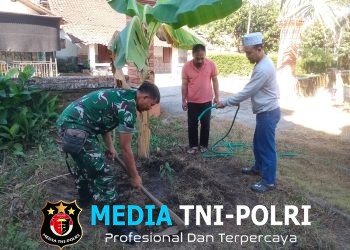 Babinsa Ngadri Bersama Warga Gelar Penghijauan, Tanam Pohon Durian dan Nangka