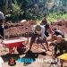 Perlahan Namun Pasti, Pondasi MCK TMMD Ke-129 Kodim 1707/Merauke Mulai Berdiri