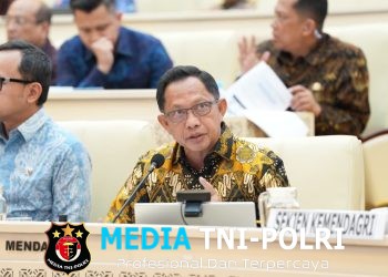 Optimalkan Pelayanan Publik, Mendagri Tekankan Pentingnya Penguatan Kapasitas dan Dukungan terhadap Kepala Daerah