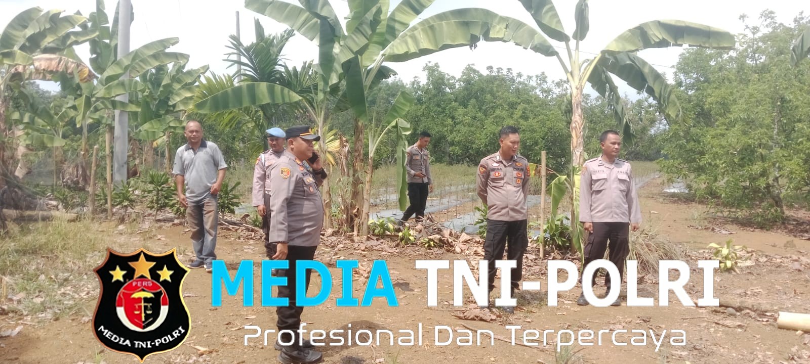 Polres Lampung Utara Cek Kesiapan Lahan Tanam Raya Jagung Serentak Kuartal III Tahun 2026