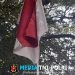 Jelang HUT ke-81 RI, Bendera Merah Putih Lusuh dan Robek Masih Berkibar di Halaman Gudang PLN