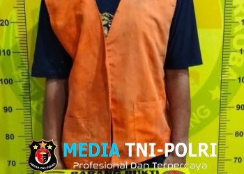 Bekuk Pengedar Narkoba, Satres Narkoba Polresta Deli Serdang amankan Barang Bukti