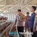 Wakapolres Metro Bekasi Tinjau Kandang Ayam dan Tambak Ikan Rantai Pasok SPPG di Muara Gembong