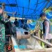 Tim Gabungan Tertibkan PETI di Pegagan Hilir, 47 Camp Hingga Mesin Dimusnahkan