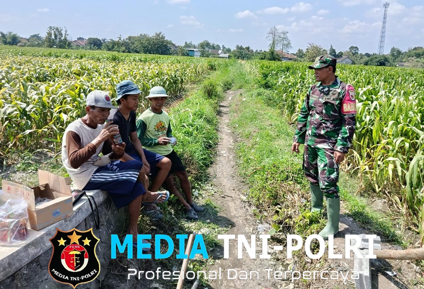 Dukung Ketahanan Pangan, Serka Anton Ady Gelar Komsos Persiapan Panen Jagung Bersama Poktan Rahayu