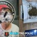 Satresnarkoba Polres Metro Bekasi Ungkap Dugaan Peredaran Ganja, Seorang Pria Diamankan di Jakarta Timur