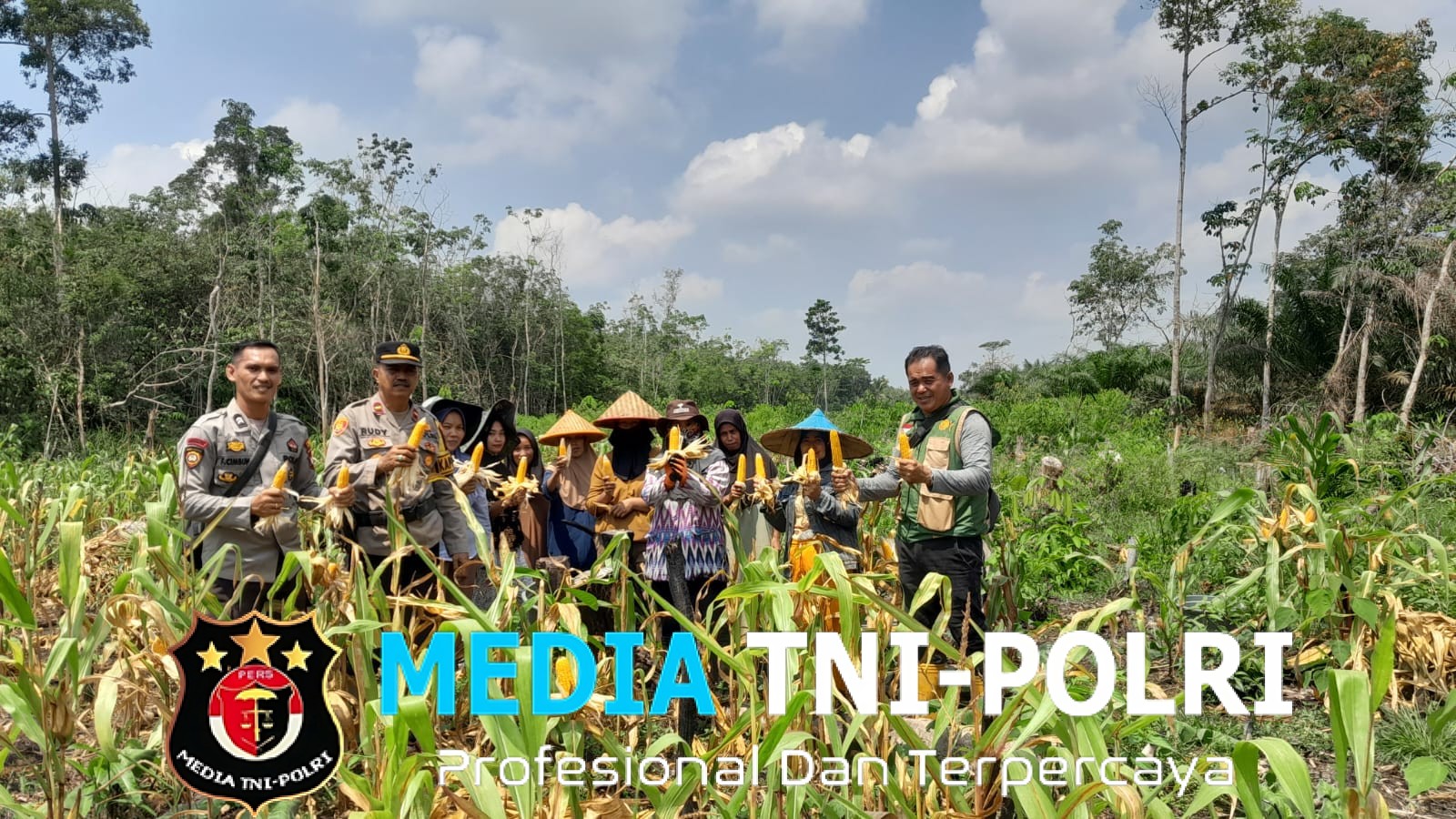 Panen Perdana Jagung 2 Hektare di Sebangki, Wujud Sinergi Polri dan Petani dalam Mendukung Ketahanan Pangan Nasional