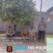 Sampaikan Imbauan Kamtibmas Saat Samapta Polsek Menyuke Laksanakan Patroli Siang