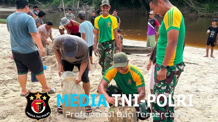 Perkokoh Kemanunggalan, Pos Kout Satgas Yonarmed 13/Nanggala Gelar Kerja Bakti Bersama Warga Gotong Pasir Sungai demi Pembangunan Masjid Desa Senaning