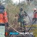 Danramil 402-07/Indralaya Bersama Babinsa Berjibaku Padamkan Karhutla di Desa Pulau Semambu