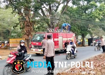 Sigap! Polisi, Damkar dan BPBD Bergerak Cepat Padamkan Kebakaran Warung Kuliner di Prosida Bandar Jaya