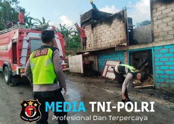 Kandang Ayam di Slogohimo Terbakar, 7.000 Anak Ayam Selamat, Kerugian Ditaksir Rp700 Juta