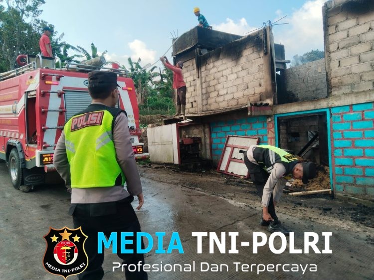 Kandang Ayam di Slogohimo Terbakar, 7.000 Anak Ayam Selamat, Kerugian Ditaksir Rp700 Juta