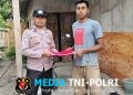 Tindak Lanjut Perintah Kapolres Mesuji, Seluruh Bhabinkamtibmas Sosialisasikan dan Bagikan Bendera Merah Putih ke Masyarakat