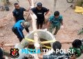 Sumur Galian Mulai Diperkuat, Warga Kampung Wanam Apresiasi Satgas TMMD ke-129