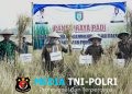 Wabup Pringsewu Panen Raya Di Wonosari, Pemkab Terus Dukung Sektor Pertanian