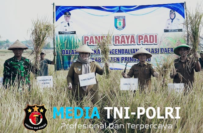 Wabup Pringsewu Panen Raya Di Wonosari, Pemkab Terus Dukung Sektor Pertanian
