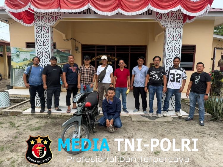 Sinergi Reskrim dan Jahtanras, Polsek Bosar Maligas Bekuk Pelaku Pencurian Ternak Lembu Residivis dalam Hitungan Jam