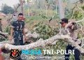 Polres Lampung Timur Gerak Cepat Evakuasi Pohon Tumbang, Arus Lalu Lintas Kembali Lancar