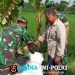 Babinsa Jenar Dampingi Petani, Arahkan Pemupukan Padi agar Lebih Optimal