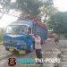 Pohon Tumbang Timpa Truk di Desa Pematang Tengah, Polisi Bergerak Cepat Evakuasi Lokasi