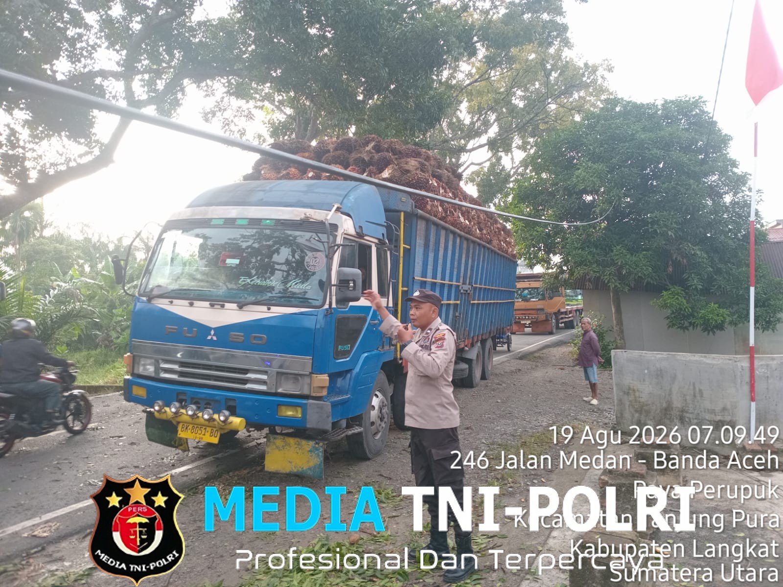 Pohon Tumbang Timpa Truk di Desa Pematang Tengah, Polisi Bergerak Cepat Evakuasi Lokasi