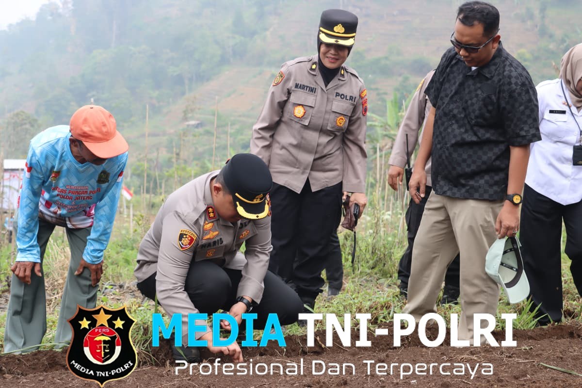 Bawang Putih Jadi Harapan Baru Petani Wonogiri untuk Ketahanan Pangan