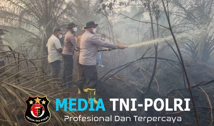 Dandim 0420/Sarko Bersama Forkopimda Padamkan Karhutla di Area Plasma PT BKS