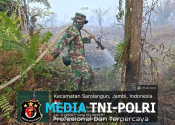 Personel Koramil 420-04/Sarolangun Bersama Tim Gabungan Terus Berjibaku Padamkan Karhutla di Sungai Abang
