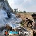 Sinergi Terpadu Polres Mesuji, Kodim 0426 Tuba, Pemerintah Daerah, Stakeholder Terkait Serta Masyarakat Berhasil Padamkan 51 Titik Api di Area Seluas 241,6 Hektar