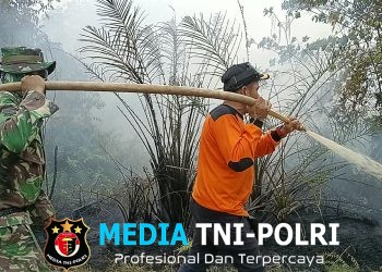 Tim Gabungan Perkuat Pemadaman Karhutla di Desa Sungai Abang, Sebagian Besar Api Berhasil Dipadamkan