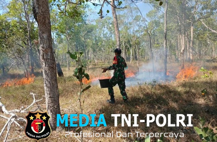 Babinsa Koramil Sota Sigap Padamkan Kebakaran Cegah Api Meluas ke Kawasan Hutan