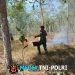 Babinsa Koramil Sota Sigap Padamkan Kebakaran Cegah Api Meluas ke Kawasan Hutan